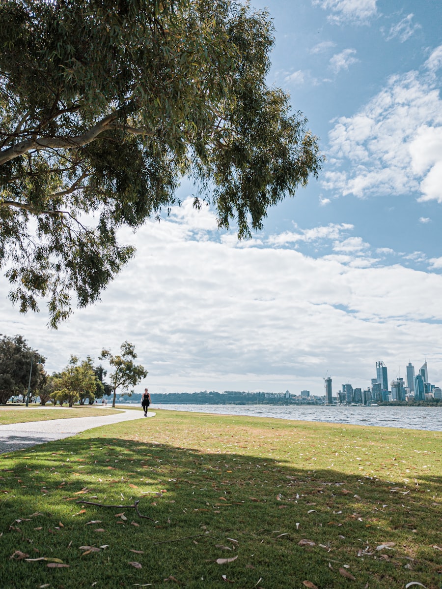 Person resting on a bench under a tree by the Swan River